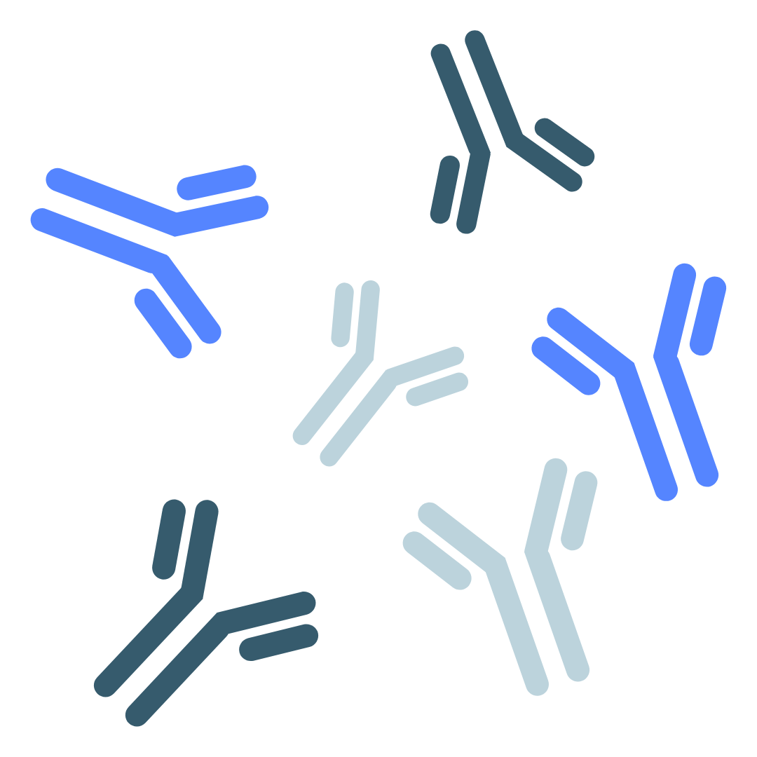 Immunologia e autoimmunità