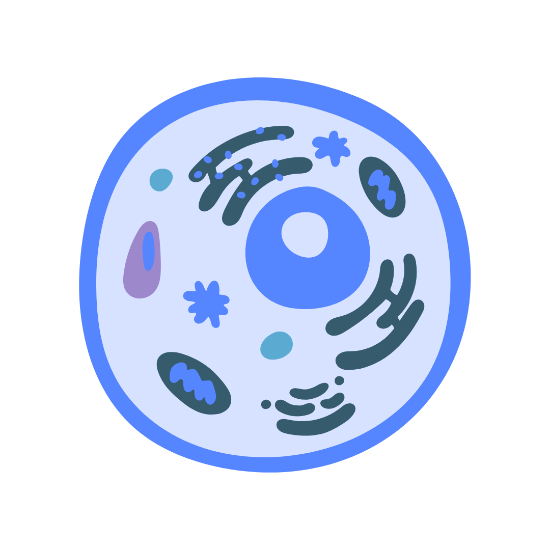 Biologia cellulare